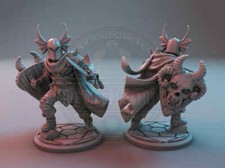 Chaotic Evil Warrior miniature