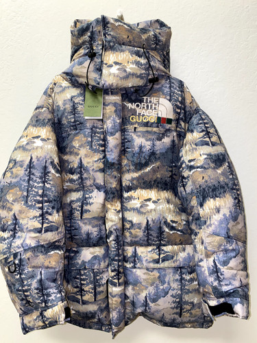 The north face gucci - north,