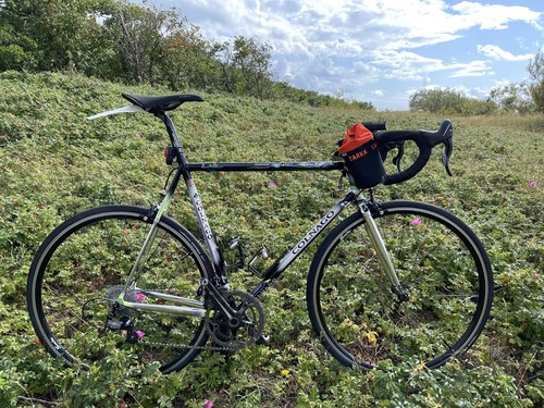 Colnago master light - x, in