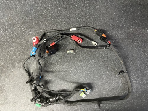 Kart rotax max evo - max,