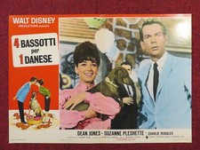 4 BASSOTTI PER 1 DANESE / THE