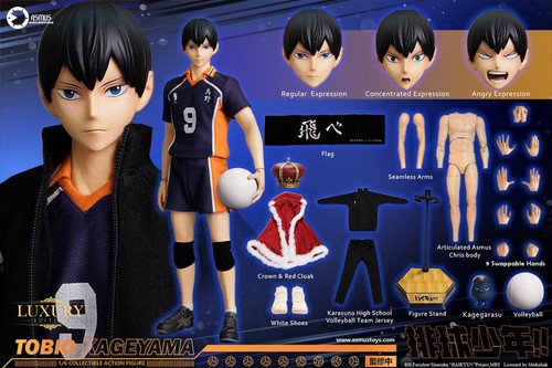 Asmus toys haikyuu - asmus,