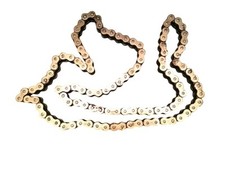 catena 530 chain Triumph 955i