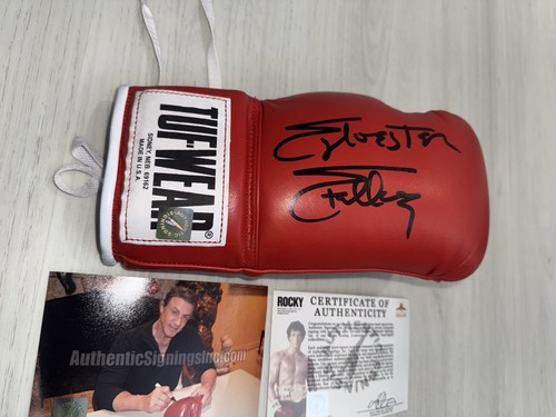 Guantone boxe sylvester - guantone,