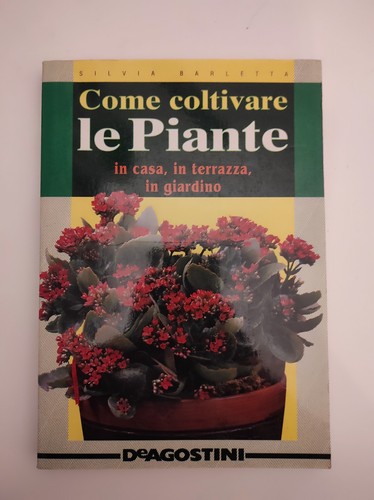Silvia barletta come - barletta,
