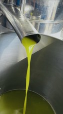 Olio Extravergine D’oliva Biologico Latta 5 Litri 2025/2026