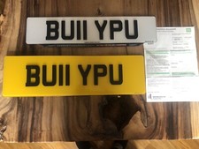 Bulldogs inglese cucciolo