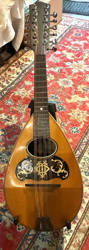 Mandriola corde mandolino - mandriola-12,