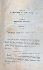 Istituzioni anatomia - istituzioni, di