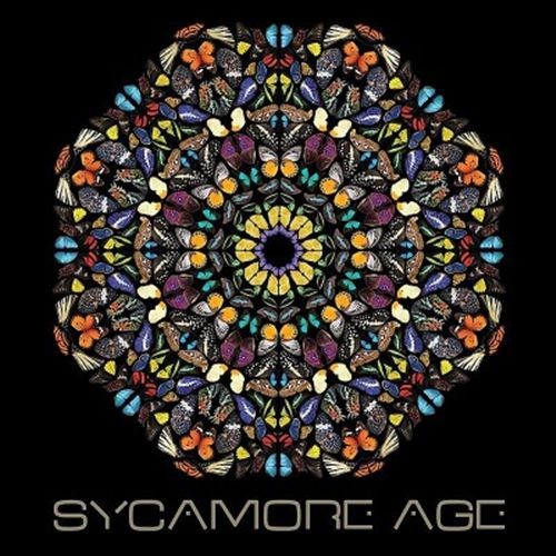 Sycamore age - age,