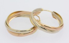 ♦♦ Orecchini a cerchio in