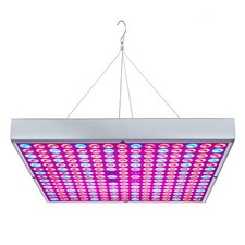 Osunby Luce di Coltivazione