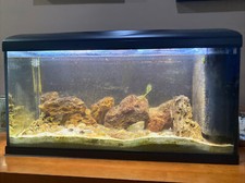 ACQUARIO AMTRA SYSTEM 80 LED COMPLETO DI FILTRO E LED