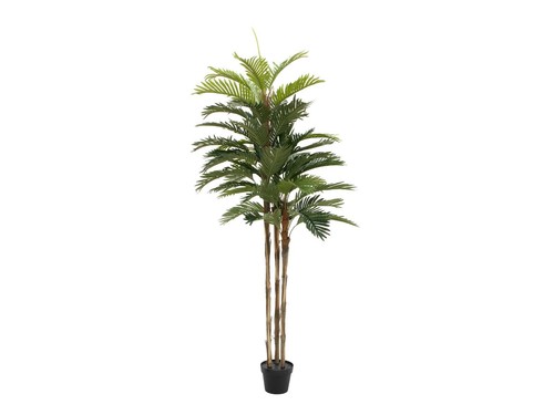 Palma kentia artificiale - di,