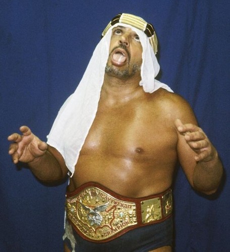Wrestling superstars the - wrestling,