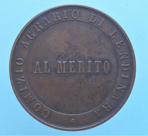 Lendinara medaglia premio - lendinara,