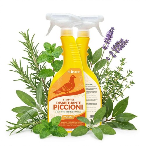 Closter spray scaccia - closter,