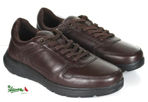 Offerta parrotto 45 - offerta, 44
