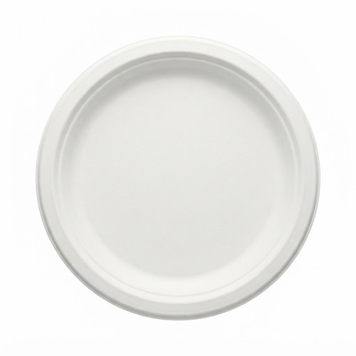 Bagasse piatti carta bianco - piatti,