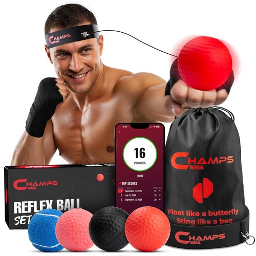 Pugilato fight ball punch - fight,