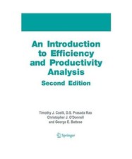 An Introduction to Efficiency