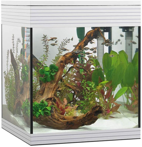 Acquario pure led taglie - led,,