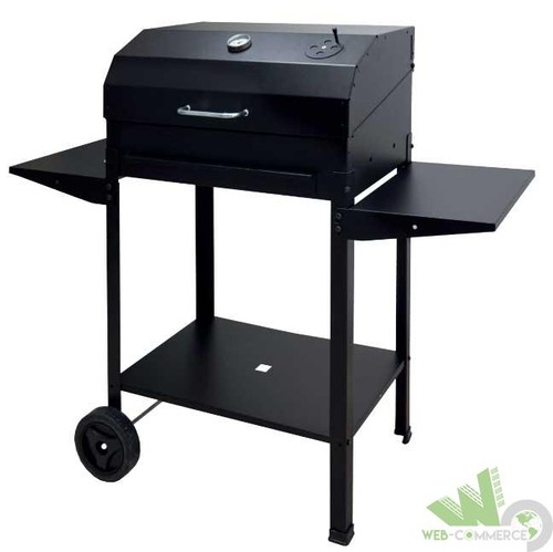 Barbecue barbeque acciaio - barbeque,