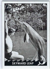 Scheda emissione test 2013 n.2