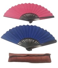 Coppia di Antichi Ventagli in