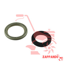 COPPIA PARAOLI ad. MOTORE