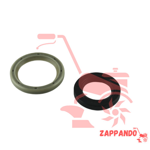 Coppia paraoli motore - paraoli,