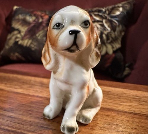 Cocker spaniel puppy - cocker,