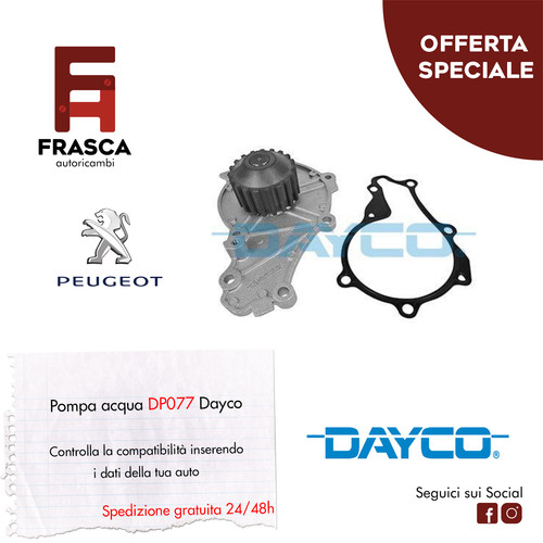 Pompa acqua dayco peugeot - pompa,
