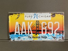 Targa metallica auto americana