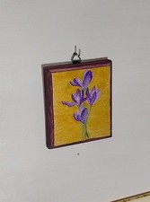 Zafferano Sardo SomniaLab#