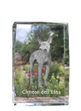Cirneco Dell' Etna - Cristallo Con Uno Hundebild, Immagine IN Vetro, Moderno Di