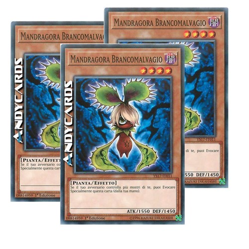 Mandragora brancomalvagio - brancomalvagio, 3x