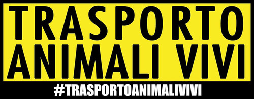 Adesivo trasporto animali - trasporto, vivi
