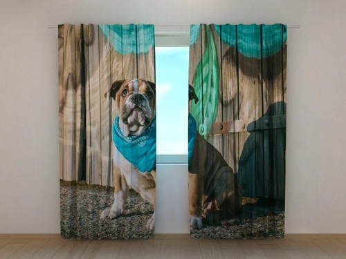 Tende cucciolo bulldog - tende,