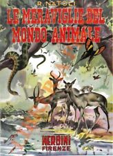 NATOLI Romualdo - Le