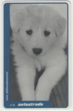 VIACARD SERIE IMMAGINI SPECIALI G 254 N PICCO NON ABBANDONARMI CANE 50.000£ TECH