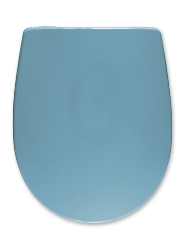 Sedile compatibile villeroy - sedile, wc