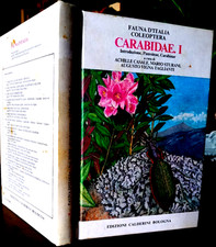 AA.VV. - COLEOPTERA CARABIDAE