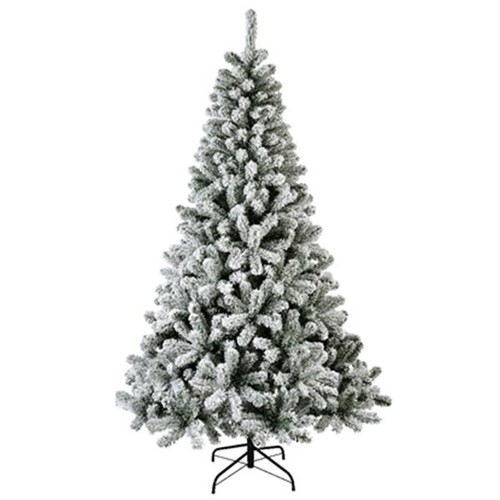 Albero natale mississipi - albero,
