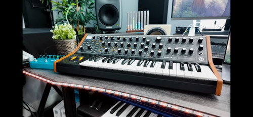 Moog sub ottime - 37,