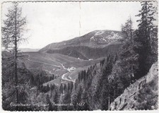 CASTEL TESINO - TRENTO - PASSO BROCCONE - VIAGG. 1953 -23431-