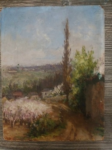 Olio tavola post - olio,