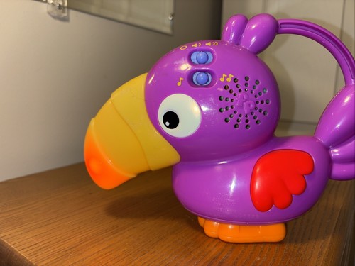 Tucano viola uccellino