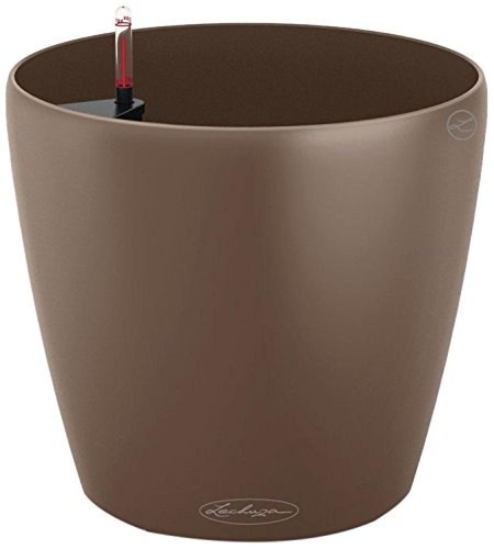 Lechuza 13203 owl - owl, vaso