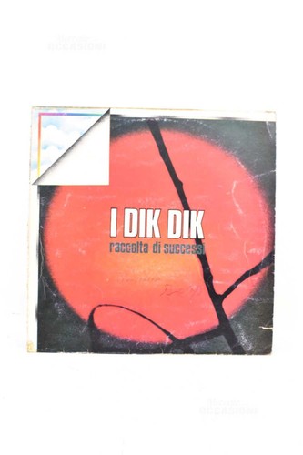 Vinile giri dik - 33,